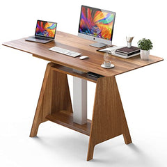 HOUSEELF Adjustable Standing Desk