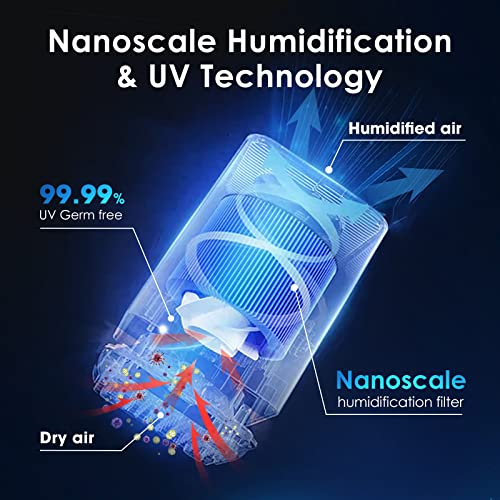 Airdog Evaporative Humidifier