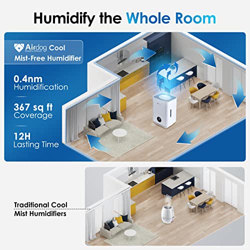 Airdog Evaporative Humidifier