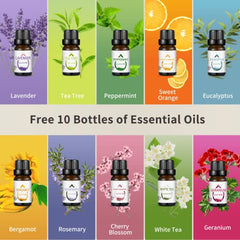 MISIJI Aromatherapy Diffuser with 10 Essential Oils Set