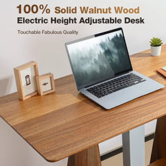HOUSEELF Adjustable Standing Desk