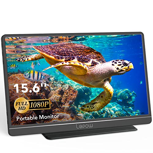 Lepow 15.6" Portable Monitor