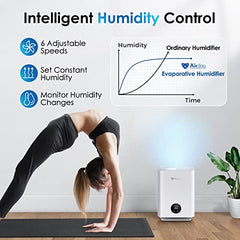Airdog Evaporative Humidifier
