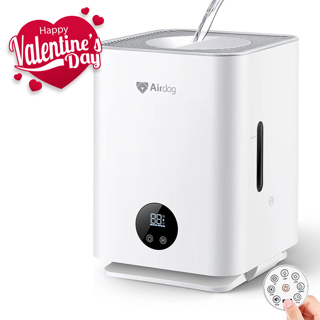 Airdog Evaporative Humidifier